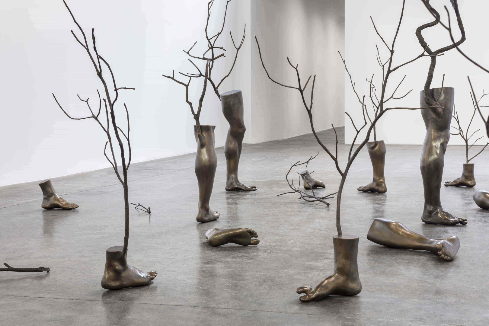 Antonio Obá | Finca-Pé: Estórias da Terra