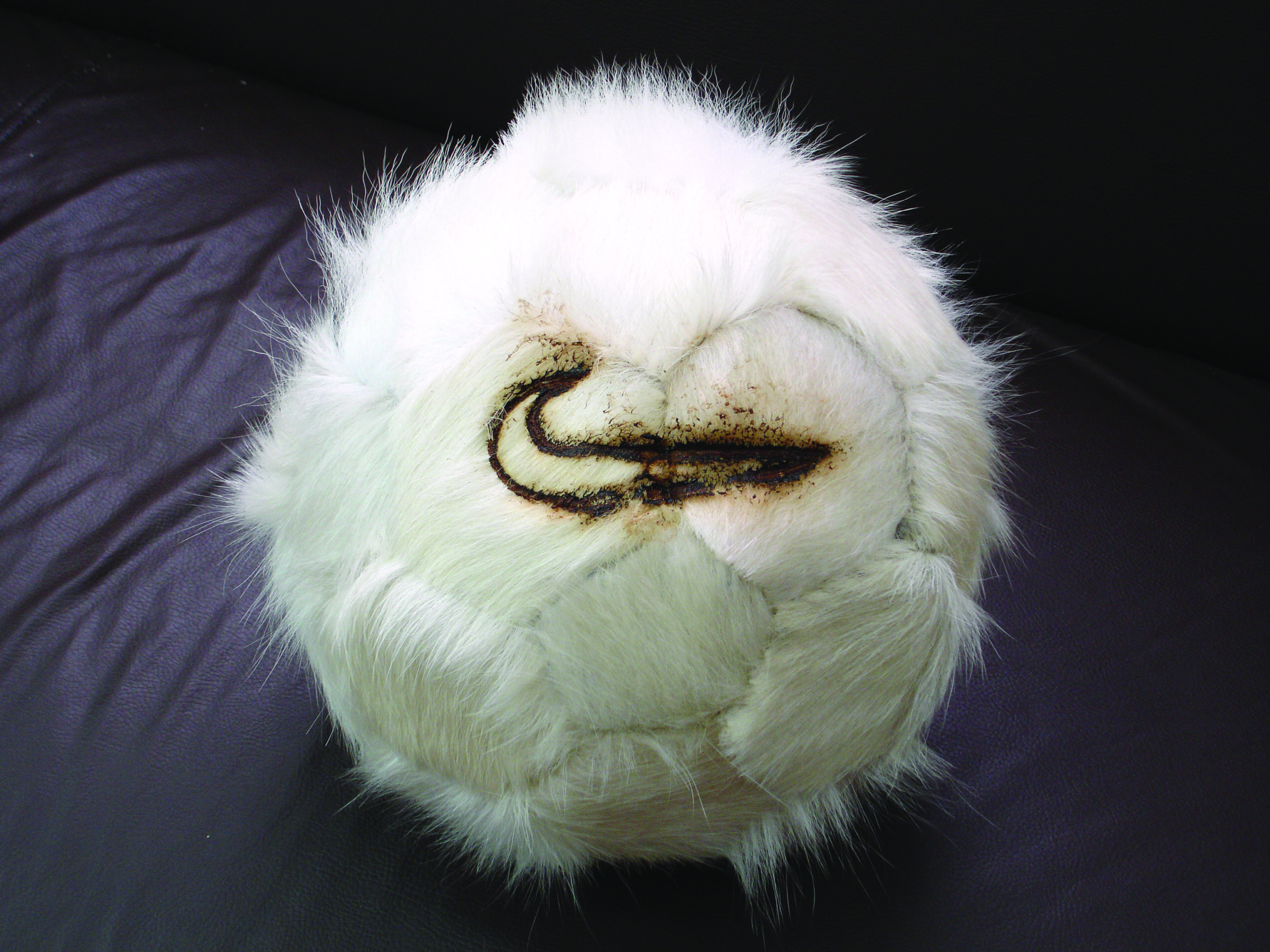 Esta exposição não se propõe a contar a história dos memes, nem a mapear sua — verdadeiramente inapreensível — totalidade. Em vez disso, investiga a memeficação como linguagem, conceito e método. Ao longo do percurso curatorial que aqui tem início, os memes não se apresentam de forma isolada: dialogam com práticas artísticas, manifestações culturais, fenômenos sociais e acontecimentos políticos, revelando seus trânsitos entre o institucional e o cotidiano, entre a estética e o engajamento, entre o riso e o dissenso.