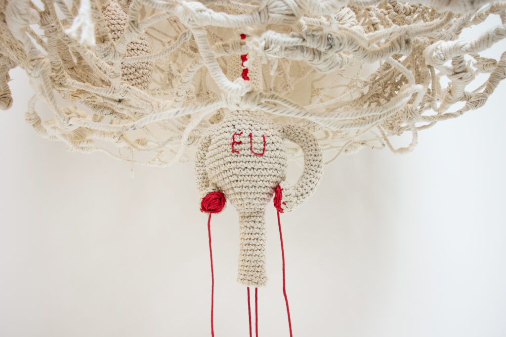 fotografia Bruno Leão..