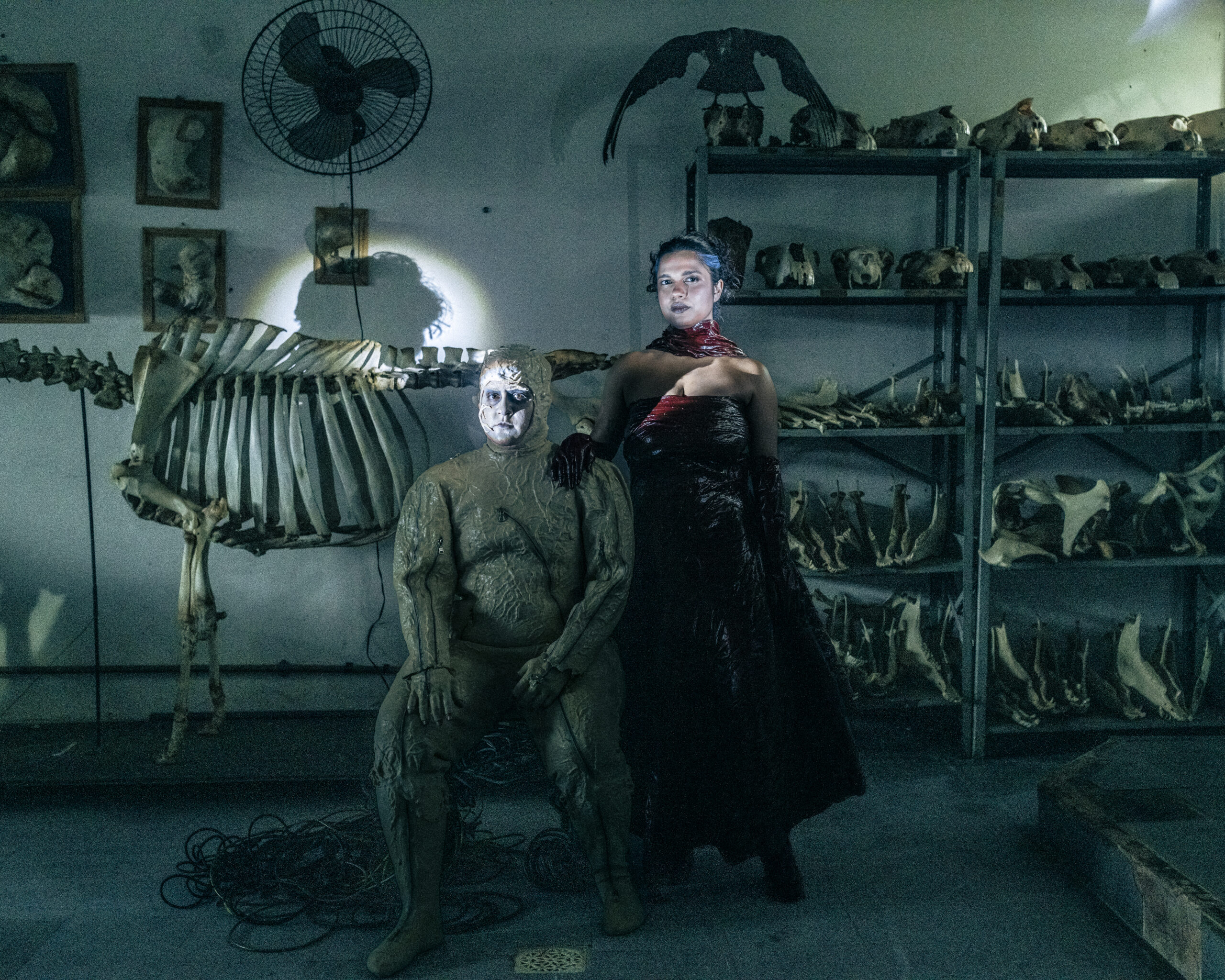 Frankenstein de Mary Shelley