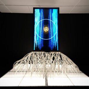 EXPOSIÇÃO LUZ ÆTERNA -Ero - Crédito Lua Morales