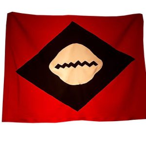 Bandeira-mulamba-1-Joao-Mulambo