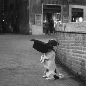5 Umberto D. (1952)