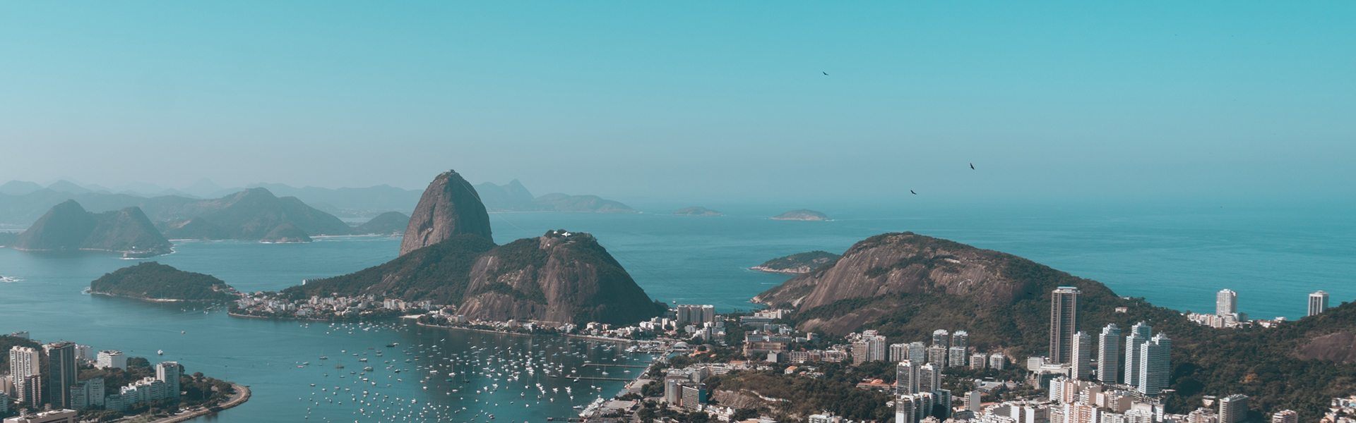 BANNER_site CCBB_SCC 2025_