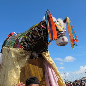 Guriatã_Boi_Foto_Renata_Amaral (1) (1)