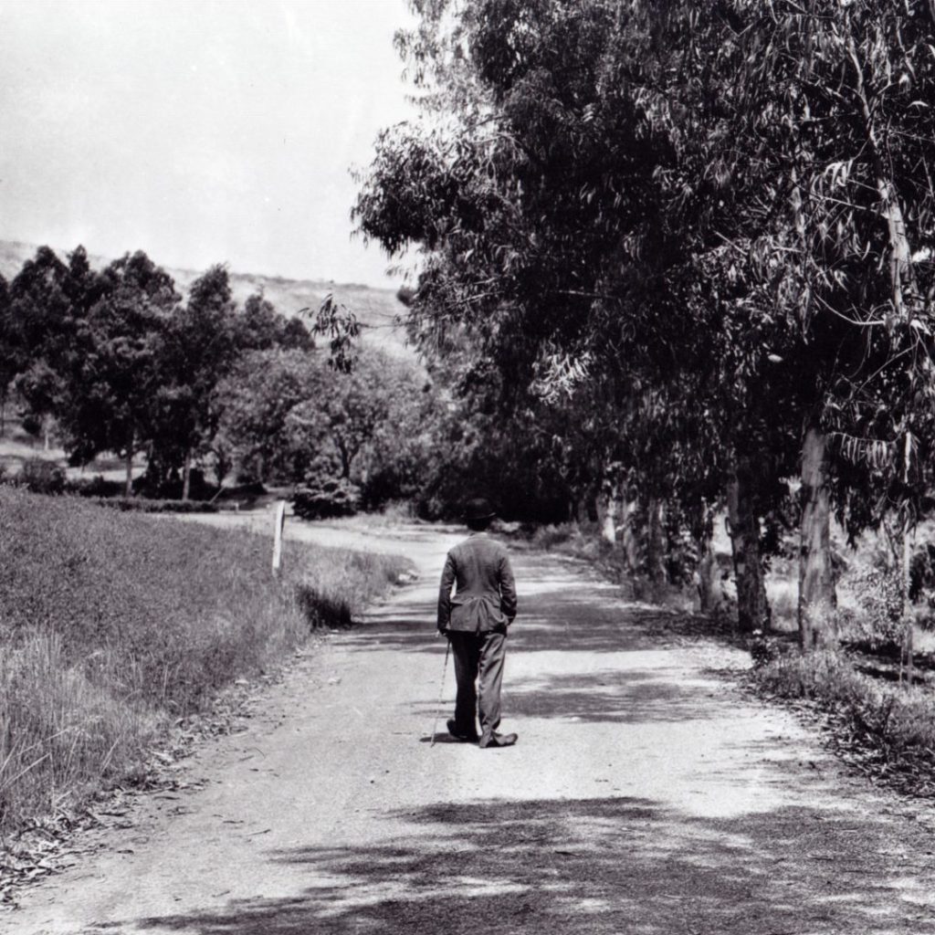 chaplin 12