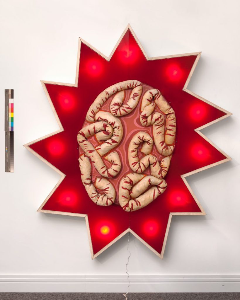 Leda Catunda, Cérebro em stand, 1988, @Almeida & Dale Galeria de Arte.png