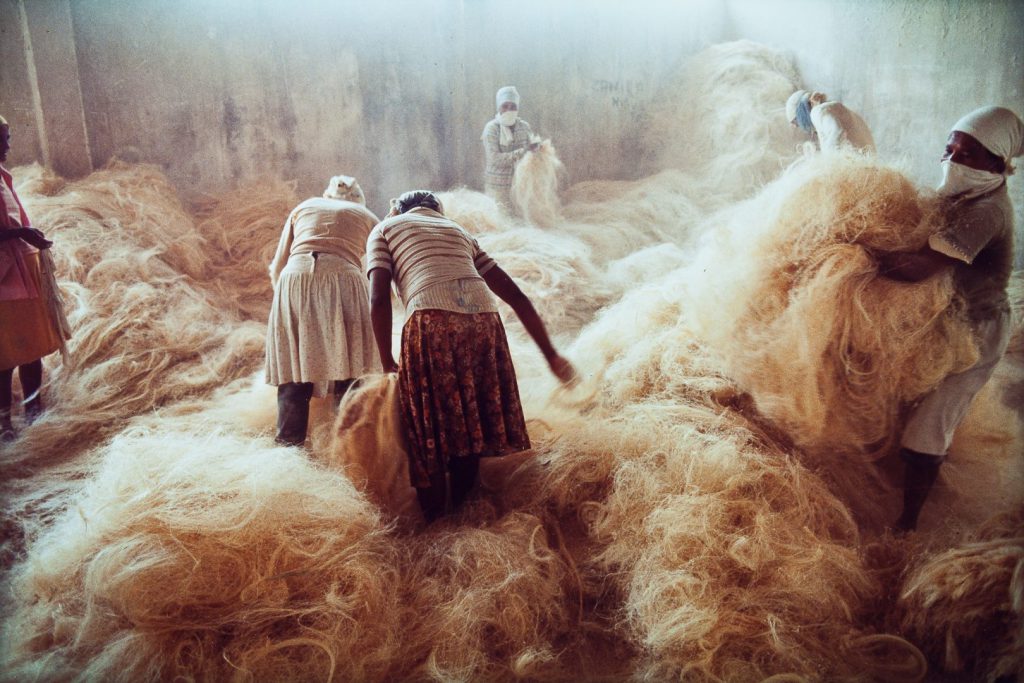 Nair Benedicto_Mulheres do sisal_Foto Jaime Acioli
