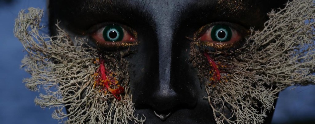 49195469353_0fff296a5c_bs