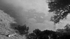 Intrusos-JanLocus-hd-01