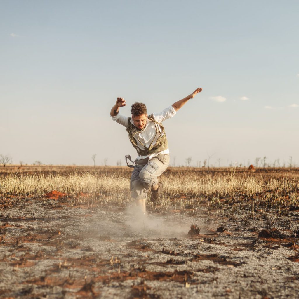 fim_fotodiegobresani_390